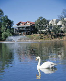 White Swans - Accommodation Bookings 0