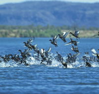Ord River - Accommodation Bookings