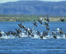 Ord River - Accommodation Bookings 0