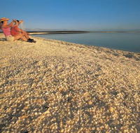 Shell Beach - Accommodation Bookings