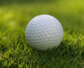 Collier Park Golf Course - Accommodation Bookings 0