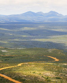  Accommodation Bookings