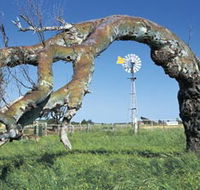 Greenough Leaning Trees