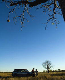  Accommodation Bookings
