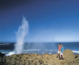 The Blowholes Carnarvon - Accommodation Bookings 0