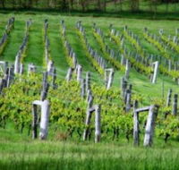 Sienna Estate Winery - Accommodation Bookings