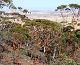 Mount Matilda Walk Trail, Wongan Hills - Accommodation Bookings 0