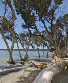 Stokes National Park - Accommodation Bookings 0