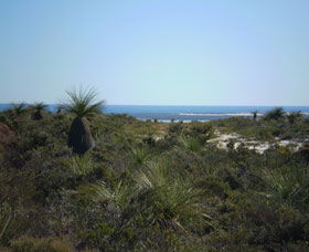 Lesueur National Park - Accommodation Bookings 0