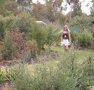 The Mythic Mazes - Accommodation Bookings