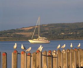 Oyster Harbour - Accommodation Bookings 0