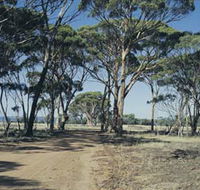 Lake Dumbleyung - Accommodation Bookings