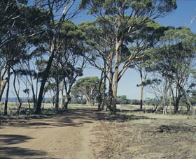 Lake Dumbleyung - Accommodation Bookings 0