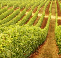 Xanadu Wines - Accommodation Bookings