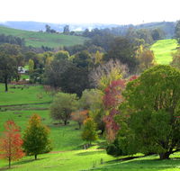 Golden Valley Tree Park