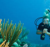 Coastal Water Dive - Accommodation Bookings