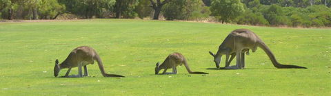 Rockingham Golf Club - Accommodation Bookings 3