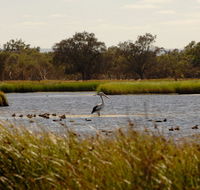 Anytime Adventures in Mandurah  the Peel Region - Accommodation Bookings