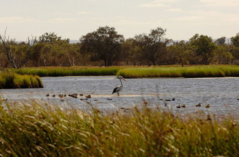 Anytime Adventures In Mandurah & The Peel Region - Accommodation Bookings 0