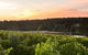 Aravina Estate - thumb 0