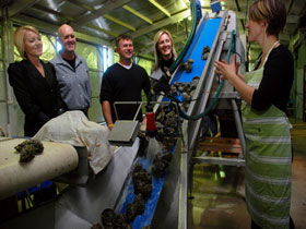 Eyre Peninsula's Seafood Trail - Accommodation Bookings 0
