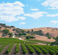 Bethany Wines - Accommodation Bookings