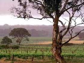  Accommodation Bookings