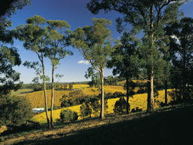 Lobethal Archives And Historical Museum - Accommodation Bookings 0