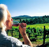 Ashton Hills Vineyard - Accommodation Bookings