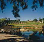 Mount Hurtle Winery home of Geoff Merrill Wines - Accommodation Bookings