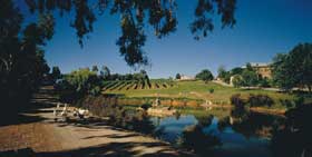 Mount Hurtle Winery Home Of Geoff Merrill Wines - Accommodation Bookings 0