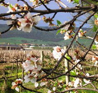 Cradle of Hills McLaren Vale Winery - Accommodation Bookings