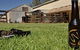 Wilkadene, Woolshed Brewery - thumb 0