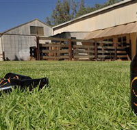 Wilkadene Woolshed Brewery - Accommodation Bookings