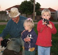Orrie Cowie Merino and Poll Merino Stud - Accommodation Bookings
