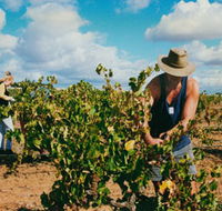 Torbreck Vintners - Accommodation Bookings
