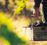 Burge Family Winemakers - Accommodation Bookings