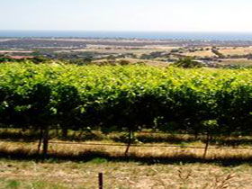 Braydun Hill Vineyard - Accommodation Bookings 0