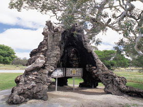 Springton SA Accommodation Bookings