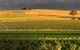 Kellermeister Wines - thumb 0