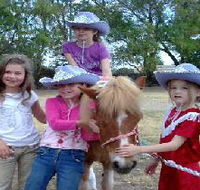 Amberainbow Pony Rides - Accommodation Bookings