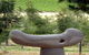 Bella Cosa Sculpture Park And Gallery Tapas Bar - thumb 0
