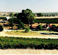 Irvine Wines - Accommodation Bookings