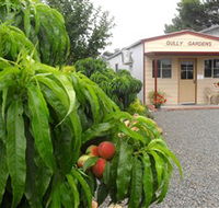 Gully Gardens - Accommodation Bookings