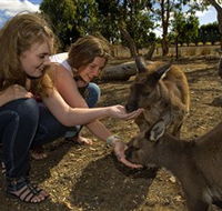 Kangaroo Island Wildlife Park - Accommodation Bookings