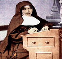 Mary MacKillop Penola Centre - Accommodation Bookings