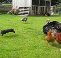 Echo Farm - Accommodation Bookings