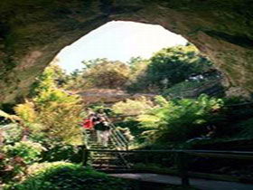 Engelbrecht Cave - Accommodation Bookings 0