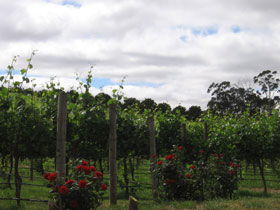 Balhannah SA Accommodation Bookings