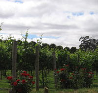 Manyara Vineyard - Accommodation Bookings
